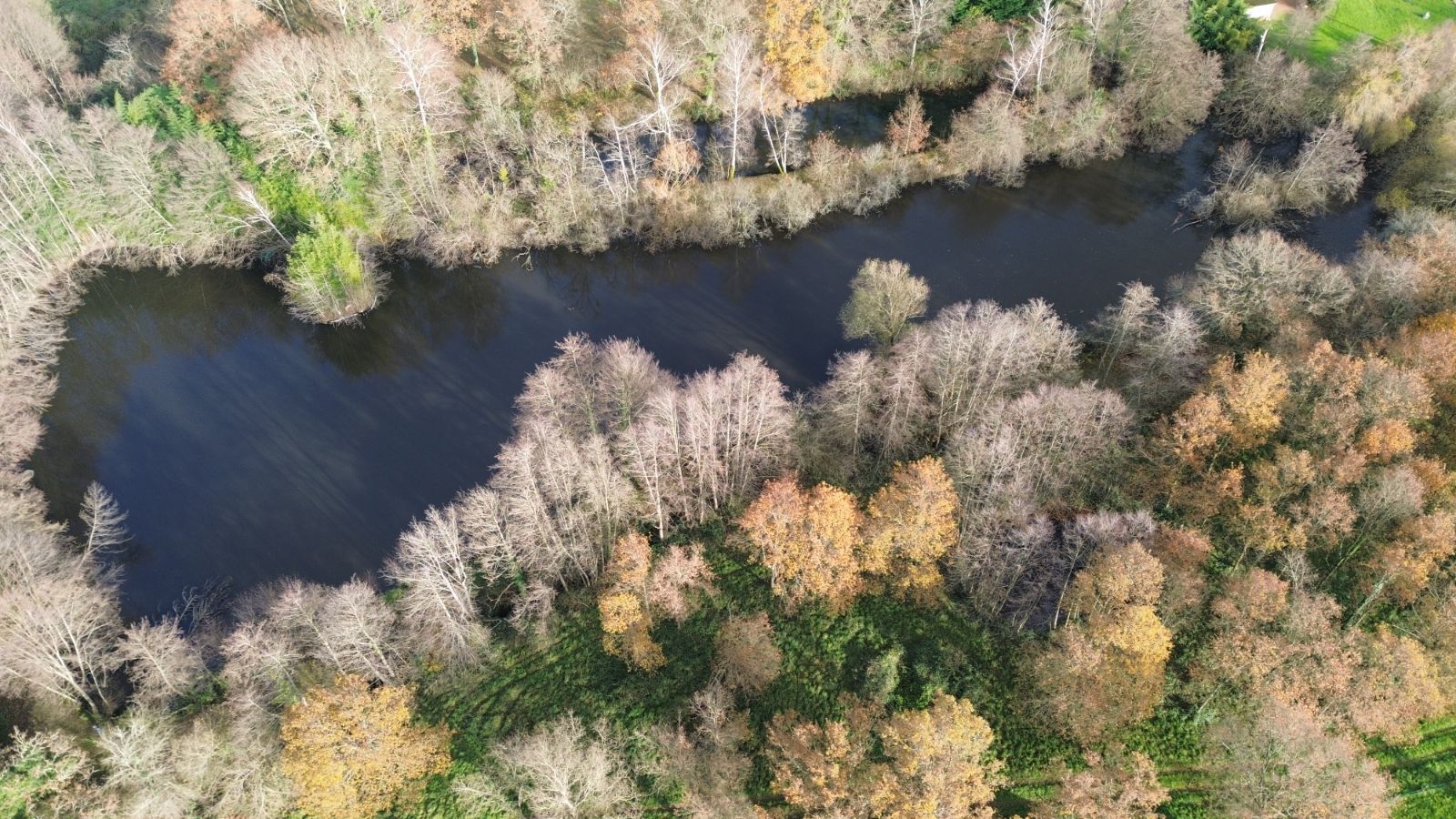 Etang 5500m2 avec 2 hectares